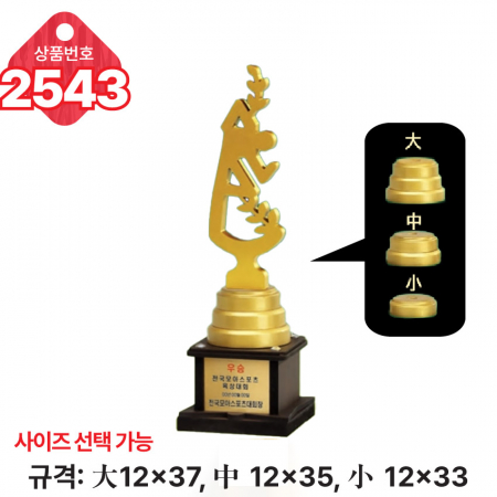 일반 조형 트로피 2543 #4