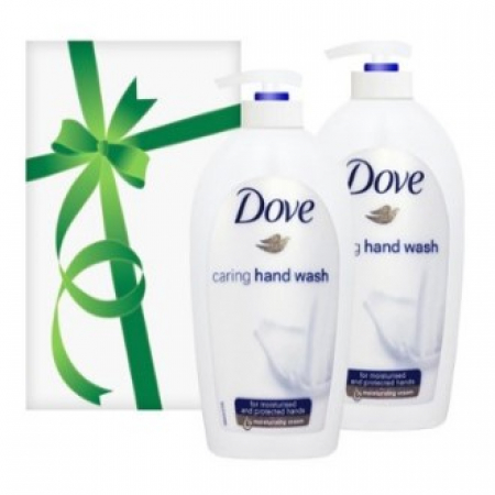 도브 핸드워시 250ml*2 #2