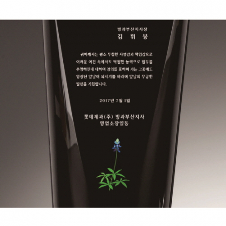 블랙 옐로우 투톤 통 크리스탈 상패 #5