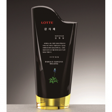 블랙 옐로우 투톤 통 크리스탈 상패 #3