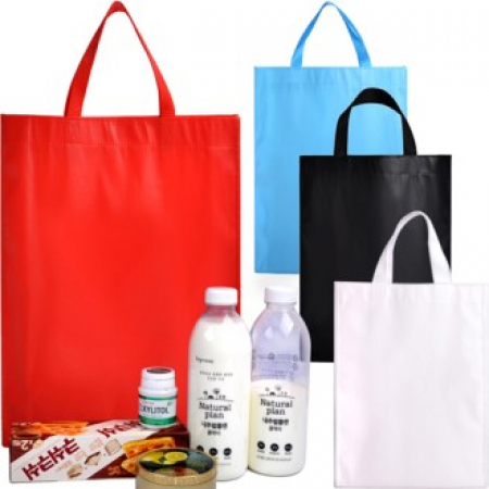 방수부직포가방-세로 대 #2