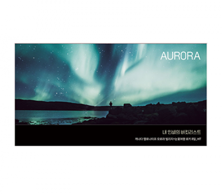 티켓 홀더 머니 홀더 투 포켓 화일 홀더 // 주문제작 #4